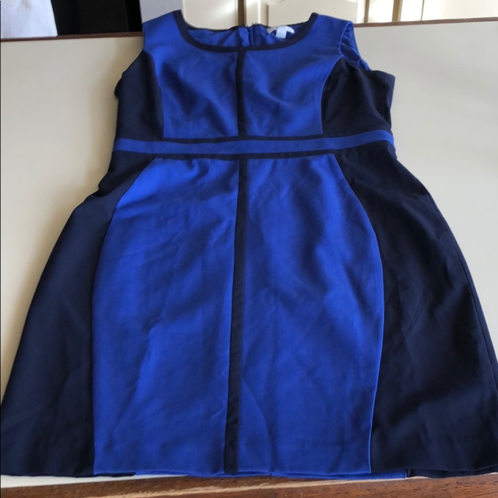Black & Blue New York & Company Dress Size 10
